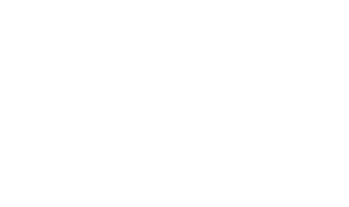 Dr. Voo