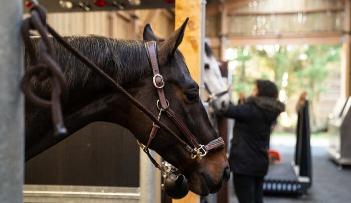 creation site e-commerce