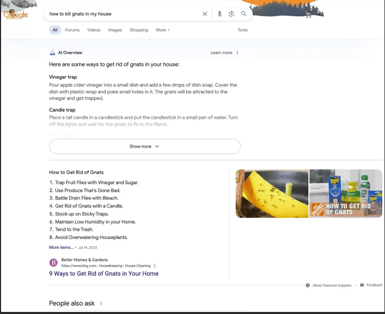 google-ai-overview.png